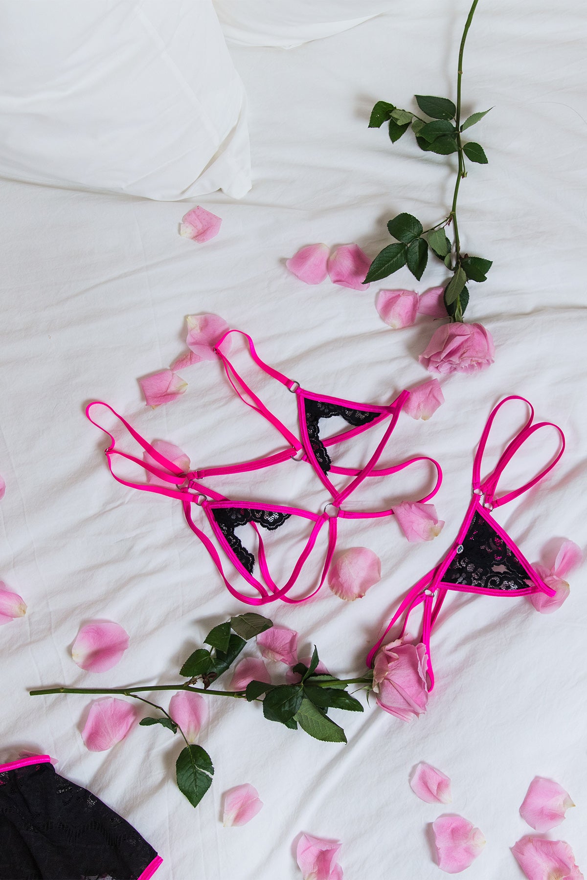 Petals and Poison Electric Noir 6054 Thong